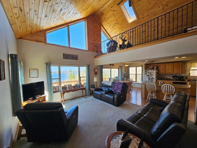 19319 Elsie Way NW, Bemidji, MN 56601 - carpeted living area featuring a skylight, wood ceiling, and high vaulted ceiling