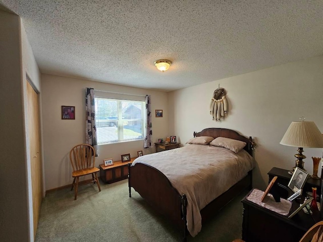 19319 Elsie Way NW, Bemidji, MN 56601 - bedroom featuring carpet flooring and a textured ceiling