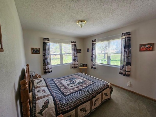 19319 Elsie Way NW, Bemidji, MN 56601 - carpeted bedroom with baseboards, multiple windows, and a textured ceiling