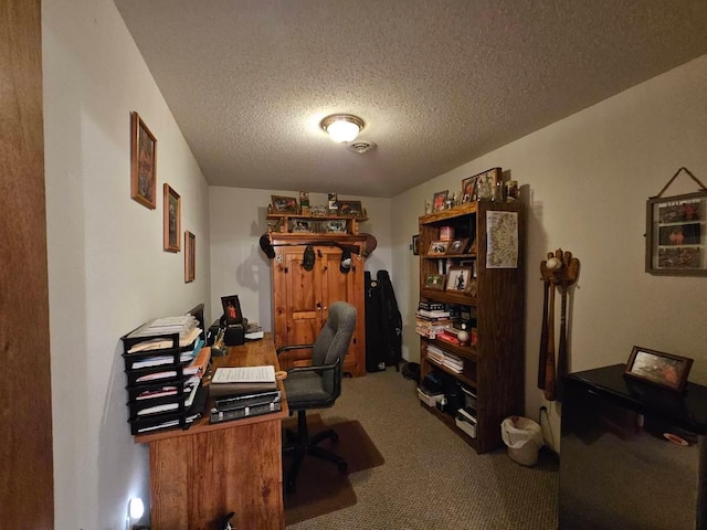 19319 Elsie Way NW, Bemidji, MN 56601 - office area with a textured ceiling and carpet floors