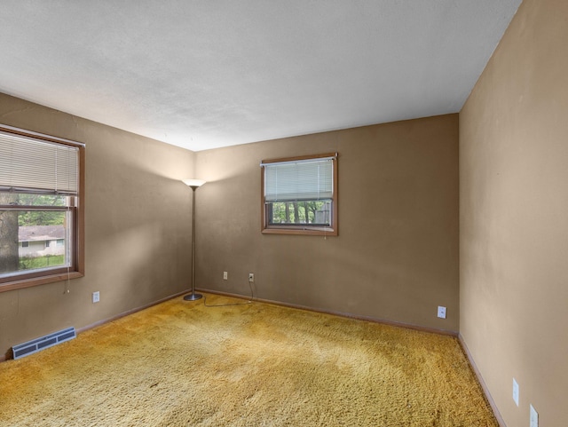 1716 9th Ave SE, Saint Cloud, MN 56304 - carpeted spare room with plenty of natural light and baseboards