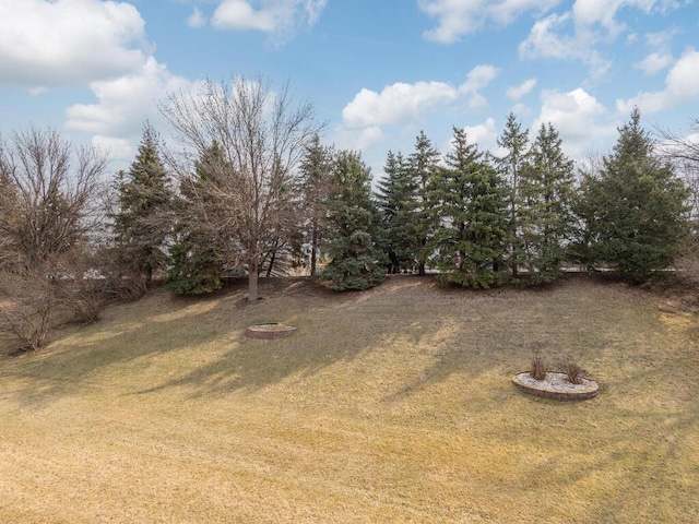13852 Jasmine Way, Rogers, MN 55374 - view of green lawn
