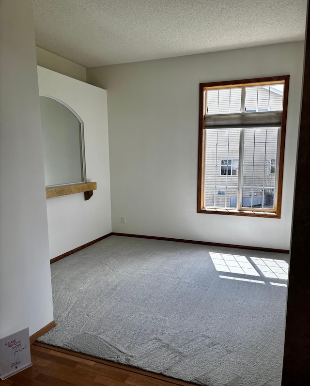 13852 Jasmine Way, Rogers, MN 55374 - spare room featuring carpet, baseboards, and a textured ceiling