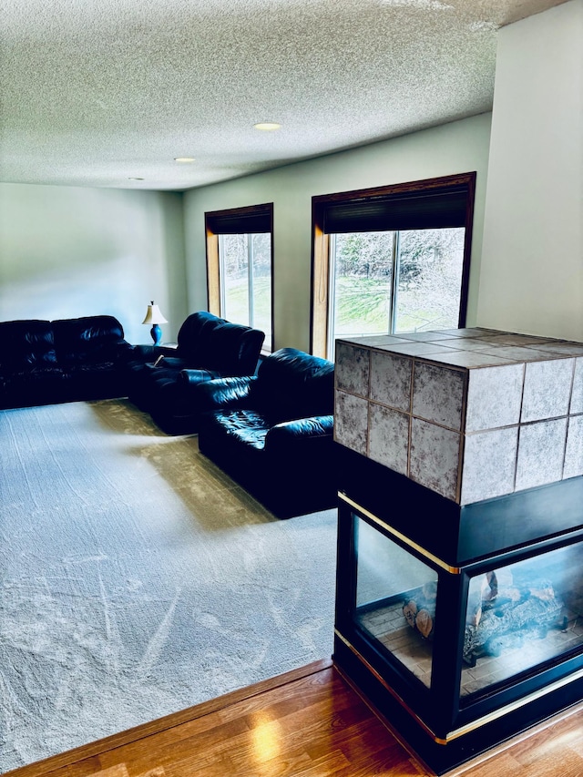 13852 Jasmine Way, Rogers, MN 55374 - living area featuring wood finished floors, a textured ceiling, and carpet floors