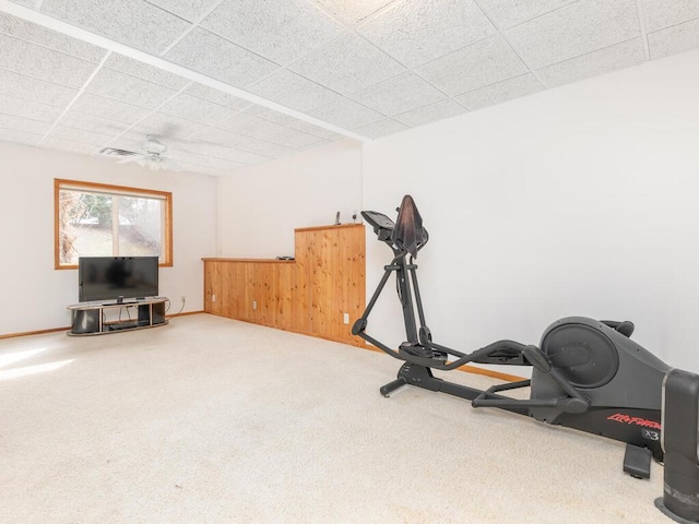 13852 Jasmine Way, Rogers, MN 55374 - workout room featuring carpet floors, a paneled ceiling, and baseboards