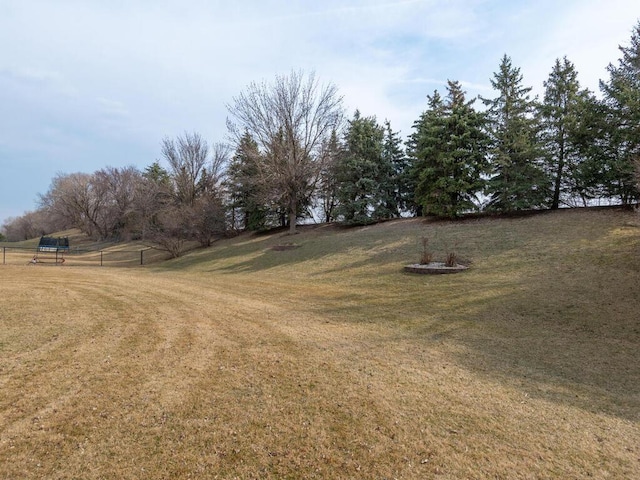 13852 Jasmine Way, Rogers, MN 55374 - view of yard