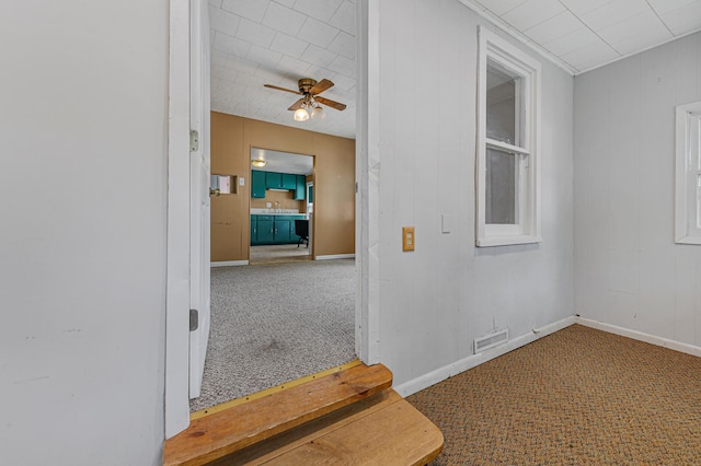 108 Benjamin St, Jackson, MN 56143 - hallway with carpet and baseboards
