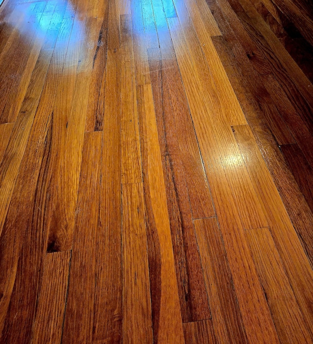 detailed view of wood finished floors