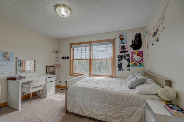 347 Glover Rd, Troy Twp, WI 54022 - bedroom with baseboards, light colored carpet, and a textured ceiling