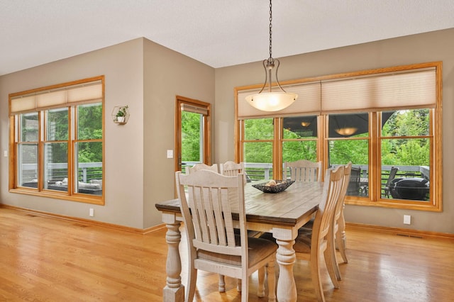 14058 Haas Lake Cir NW, Prior Lake, MN 55372 - photo 19
