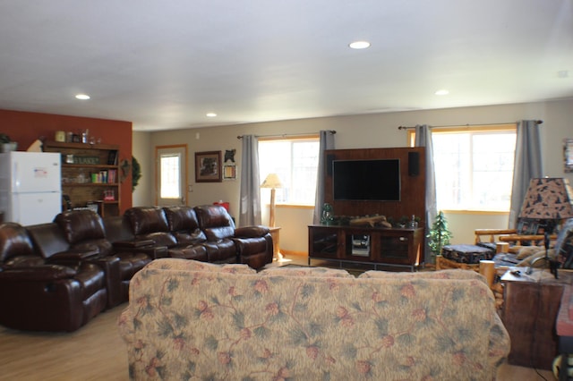 36282 Rush Lake Loop Unit 29A, Ottertail, MN 56571 - living area featuring light wood-style floors and recessed lighting