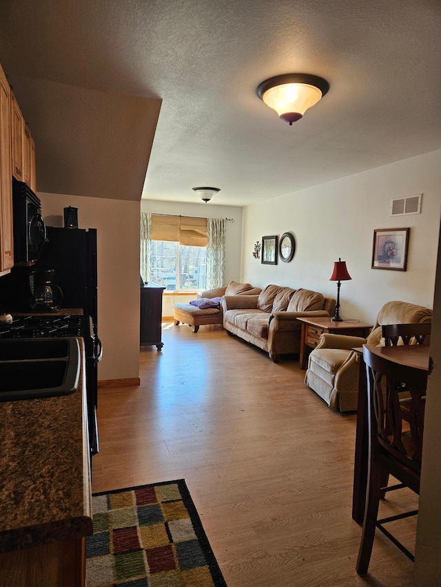 36282 Rush Lake Loop Unit 29A, Ottertail, MN 56571 - living area featuring dark wood-type flooring
