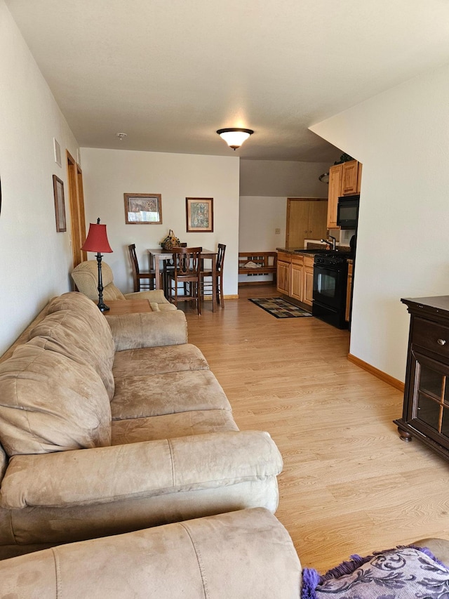 36282 Rush Lake Loop Unit 29A, Ottertail, MN 56571 - living room with light wood-type flooring and baseboards