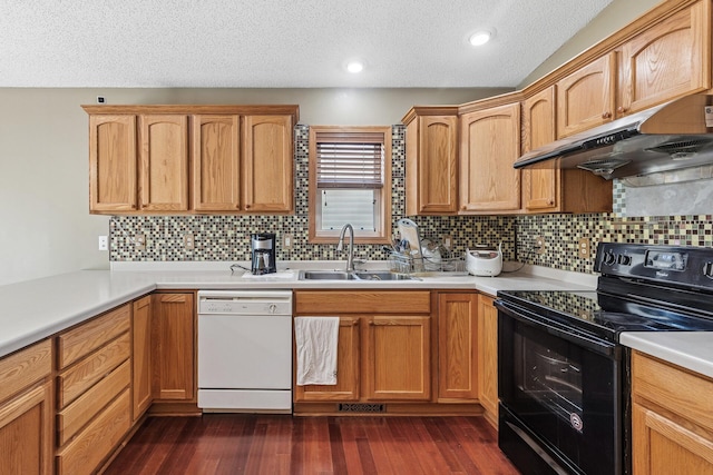 kitchen featuring black / electric stove, dishwasher, under cabinet range hood, a sink, and backsplash