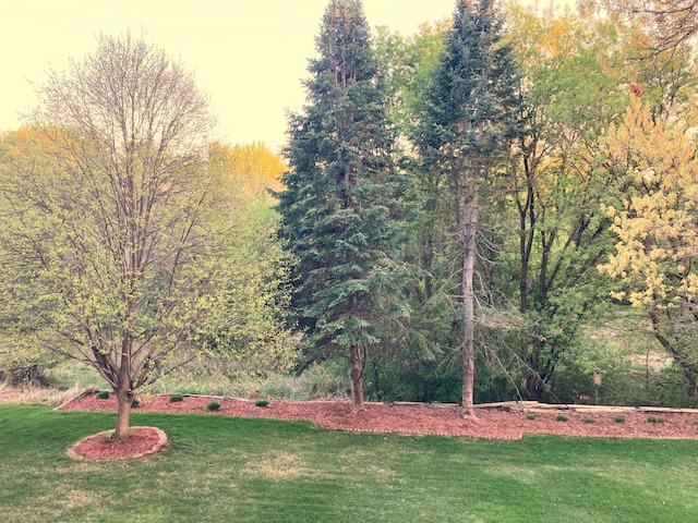 1282 141st Ln NW, Andover, MN 55304 - view of green lawn featuring a wooded view