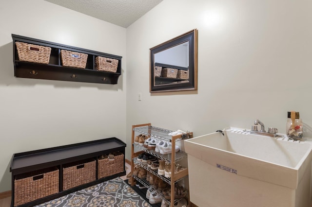 1282 141st Ln NW, Andover, MN 55304 - mudroom with a sink and a textured ceiling