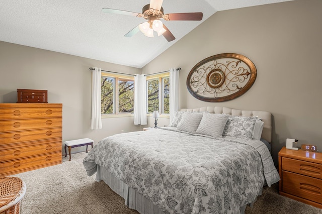1282 141st Ln NW, Andover, MN 55304 - carpeted bedroom with vaulted ceiling and a ceiling fan