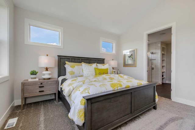 10833 38th Trl N, Lake Elmo, MN 55042 - carpeted bedroom with baseboards and lofted ceiling