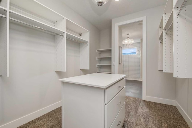 10833 38th Trl N, Lake Elmo, MN 55042 - walk in closet with carpet flooring