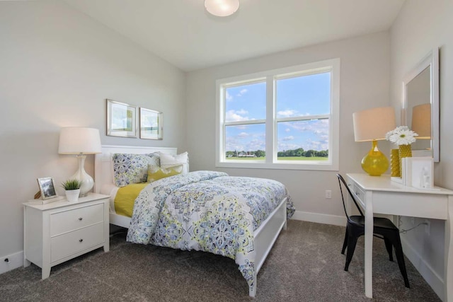 10833 38th Trl N, Lake Elmo, MN 55042 - bedroom with dark colored carpet and baseboards