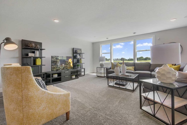 10833 38th Trl N, Lake Elmo, MN 55042 - view of carpeted living room
