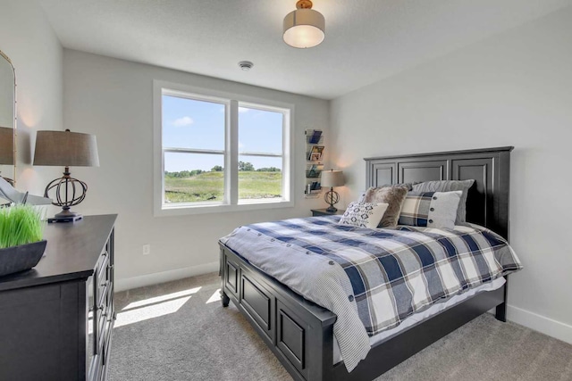10833 38th Trl N, Lake Elmo, MN 55042 - bedroom with light carpet and baseboards