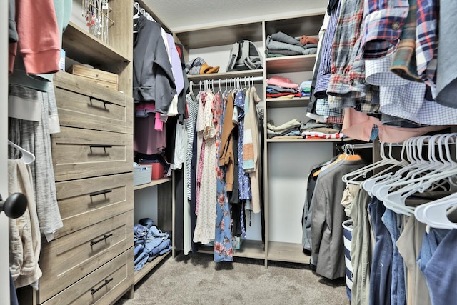 10240 3rd St NE Unit D, Blaine, MN 55434 - walk in closet with carpet