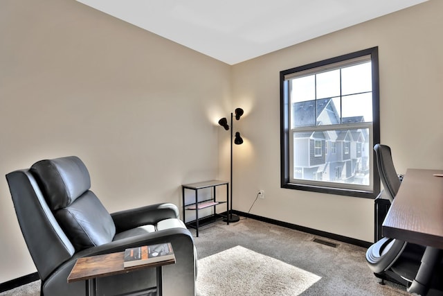 10240 3rd St NE Unit D, Blaine, MN 55434 - sitting room with carpet floors and baseboards