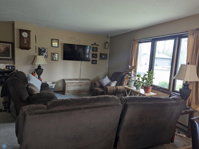 701 Broadway St, Lisbon, ND 58054 - photo 7