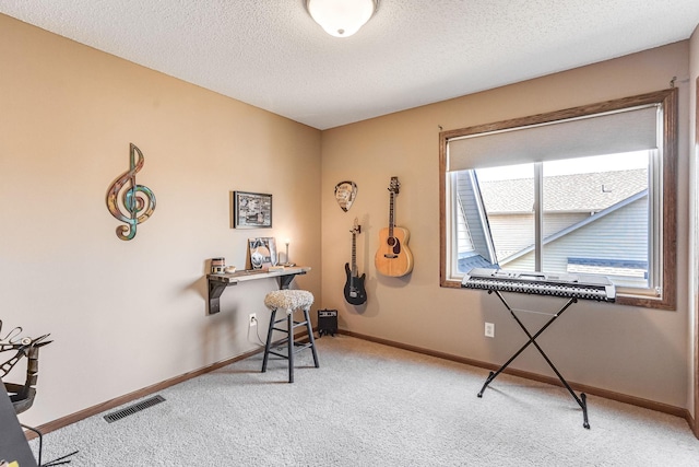 1103 Park Ln SE, New Prague, MN 56071 - miscellaneous room featuring carpet, baseboards, and a textured ceiling
