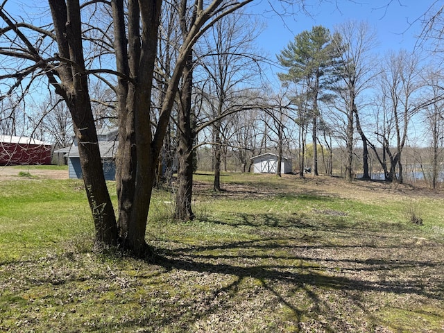 view of yard with an outdoor structure and a shed
