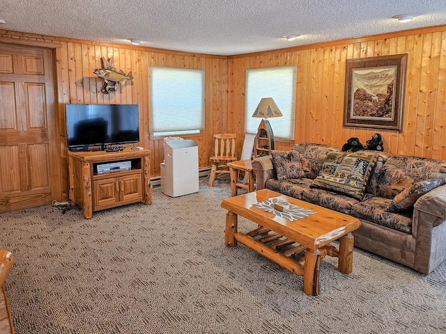 44948 Plentywood Rd, Perham, MN 56573 - living room with a textured ceiling, light carpet, and wood walls