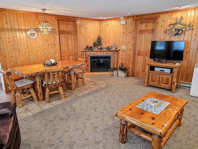 44948 Plentywood Rd, Perham, MN 56573 - living area featuring a baseboard radiator, wood walls, light carpet, a textured ceiling, and a glass covered fireplace