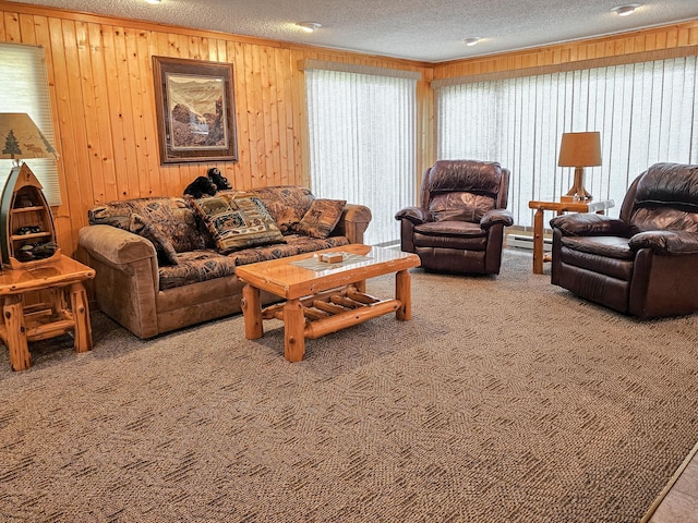 44948 Plentywood Rd, Perham, MN 56573 - living area featuring carpet flooring, a textured ceiling, baseboard heating, and wood walls