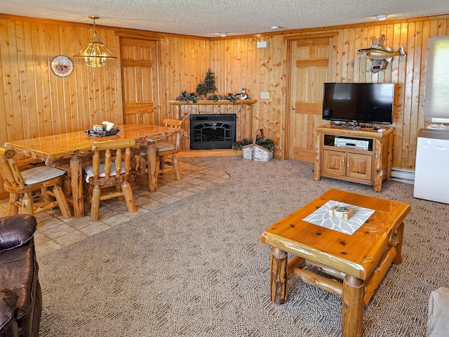 44948 Plentywood Rd, Perham, MN 56573 - living area featuring wood walls, a baseboard radiator, a textured ceiling, light carpet, and a glass covered fireplace