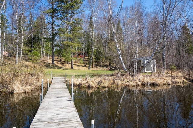 26159 County Road 345, Bigfork, MN 56628 - view of dock featuring a water view