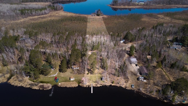 26159 County Road 345, Bigfork, MN 56628 - aerial view of property's location featuring a nearby body of water