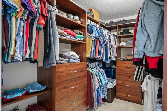 walk in closet featuring carpet floors