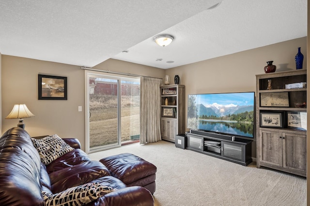 living room with carpet floors and a textured ceiling