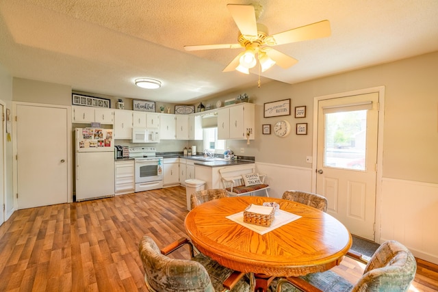 dining room with light wood finished floors, healthy amount of natural light, and ceiling fan