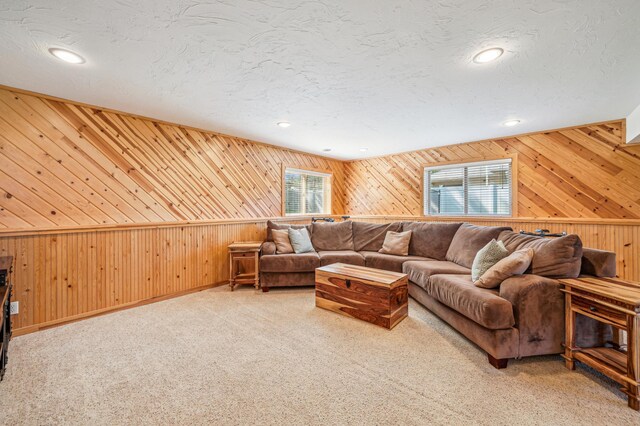 1036 Creekview Ln, Belle Plaine, MN 56011 - carpeted living area featuring plenty of natural light, wooden walls, a textured ceiling, and recessed lighting