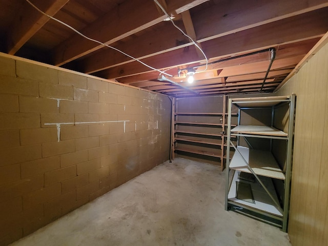 unfinished below grade area featuring concrete block wall