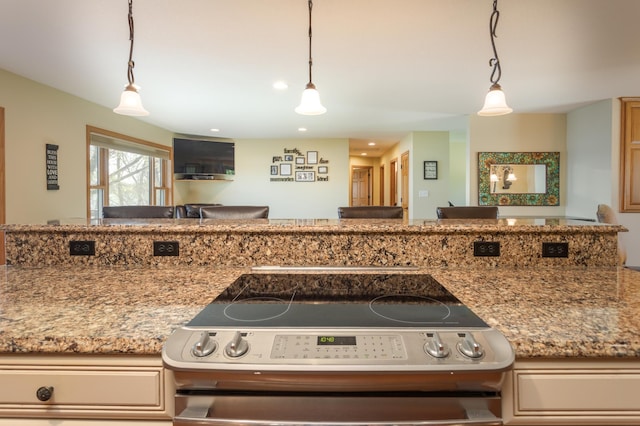5123 Green Meadow Rd SE, Osakis, MN 56360 - kitchen with light stone counters, stainless steel range with electric cooktop, and decorative light fixtures