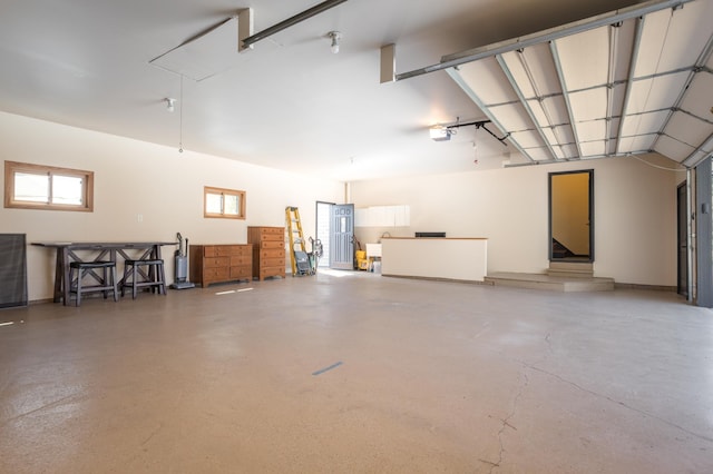 5123 Green Meadow Rd SE, Osakis, MN 56360 - garage featuring a garage door opener