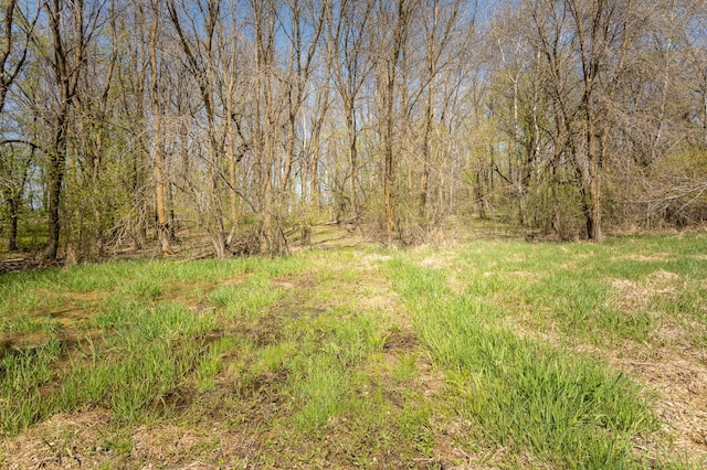 5123 Green Meadow Rd SE, Osakis, MN 56360 - view of nature featuring a view of trees