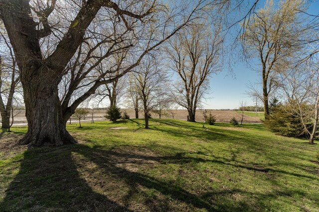 view of green lawn