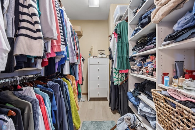 walk in closet with wood finished floors