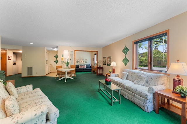 living area with carpet flooring and a textured ceiling