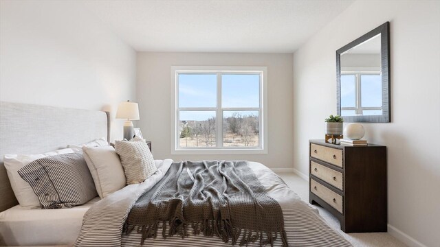 2009 Lusitano St, Shakopee, MN 55379 - bedroom featuring multiple windows, baseboards, and light carpet