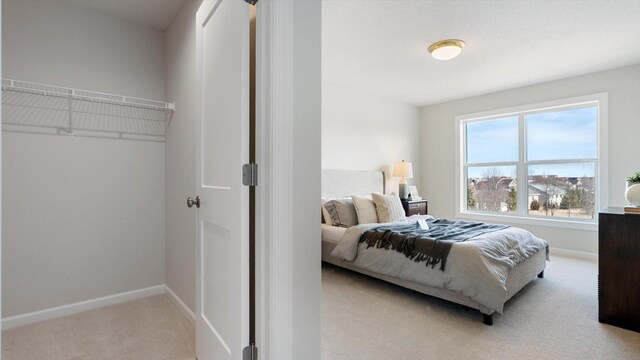 2009 Lusitano St, Shakopee, MN 55379 - bedroom featuring light carpet and baseboards